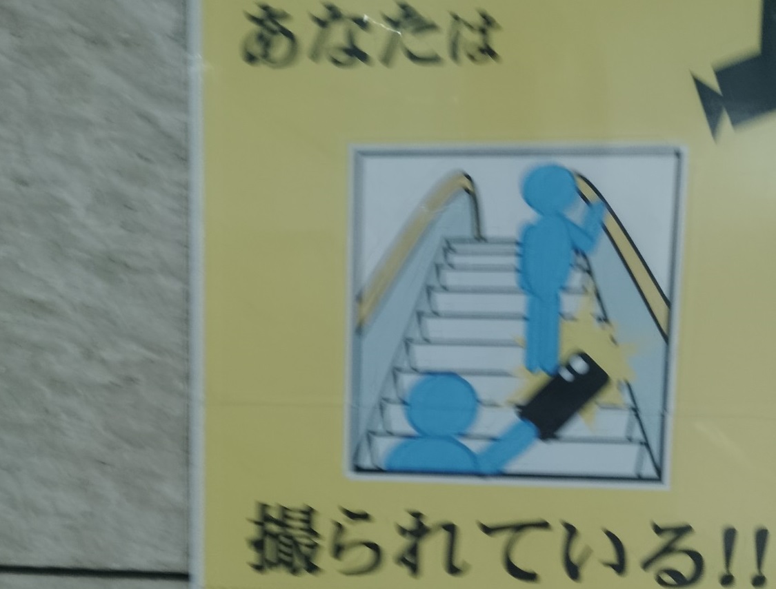 Japan’s Dystopian Police State is Real